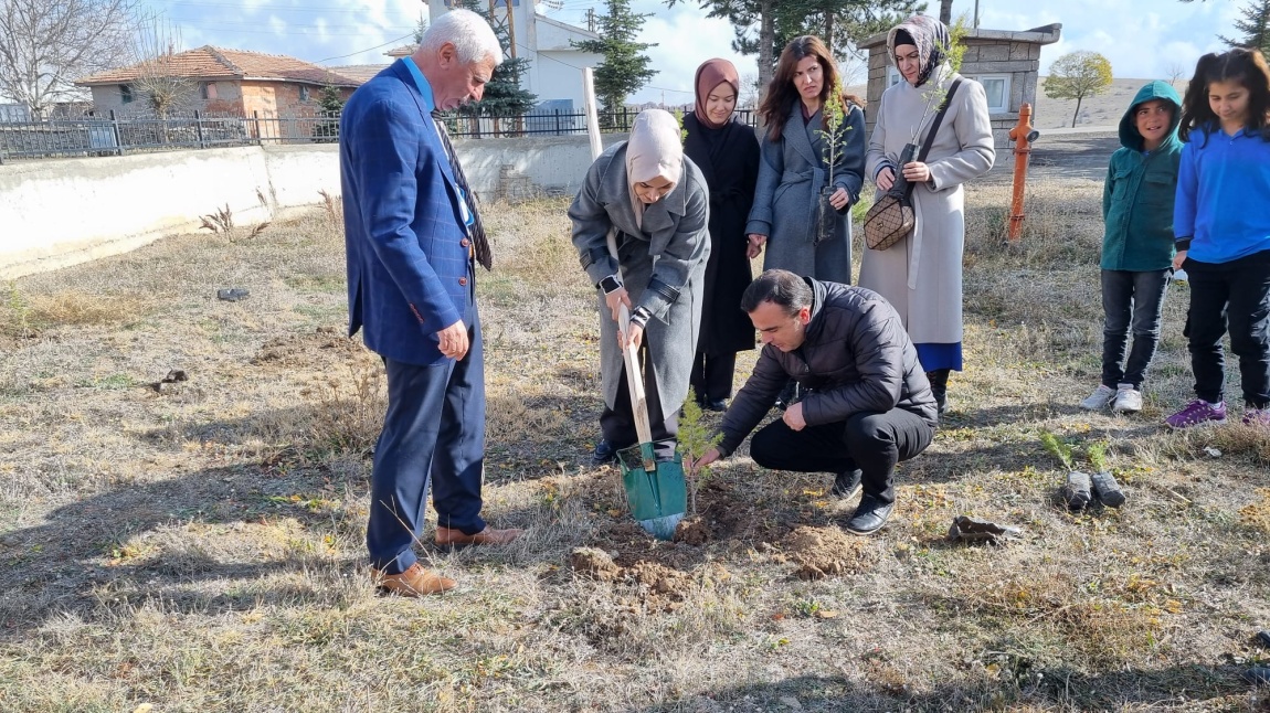 24 Kasım Öğretmenler Günü Fidan Dikme Etkinliğimiz Yapıldı.